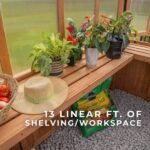 9×6 Willow Greenhouse - Image 16